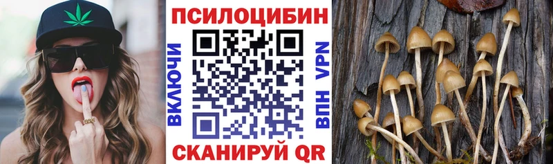 Галлюциногенные грибы Cubensis  как найти закладки  Горячий Ключ 
